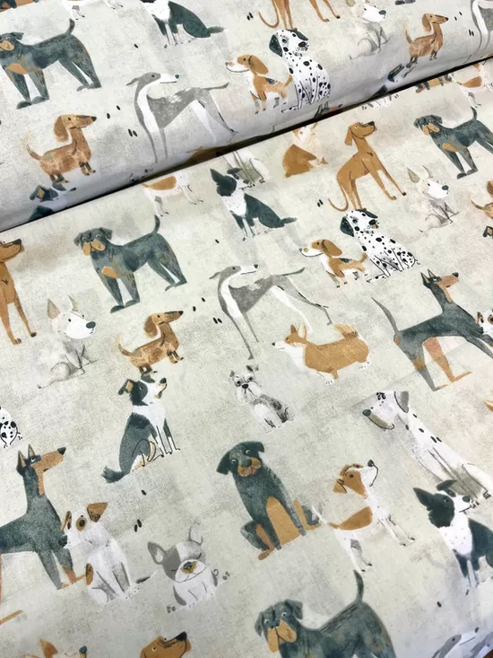 Lacīte/suņi/gatavā