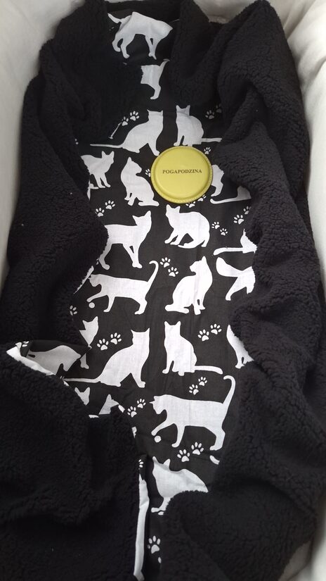 Teddy+ kokvilnas/melns + kaķēni/75*100 cm